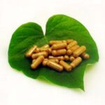 Capsules - Guarana (Paullinia cupana) 60 Capsules