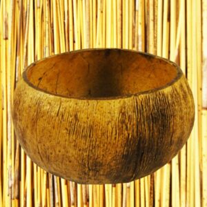 Coconut Cup