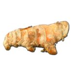 Alpine Turmeric Pieces (Curcuma)