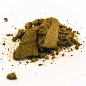 Calea Zacatechichi Resin 10x