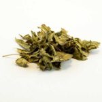 Calea Zacatechichi (Dream Herb)