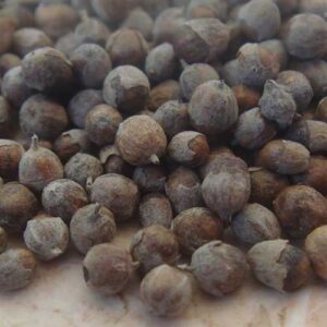 Chasteberry - Whole Berries (Monk's Pepper)