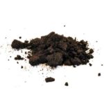 Indian Warrior (Pedicularis densiflora) 15x Extract