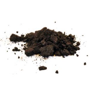 Indian Warrior (Pedicularis densiflora) 15x Extract