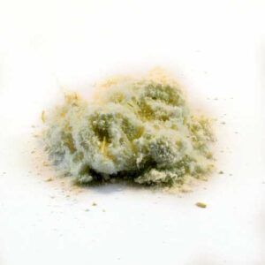 Uvuma omhlope (Kirkii) Root Powder