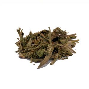 Wild Dagga - Lion's Tail (Leonotis Leonurus)