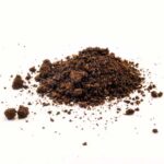 Prickly Poppy 15x Resin Incense