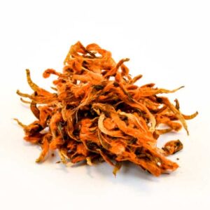 Wild Dagga Flowers (Private Reserve)