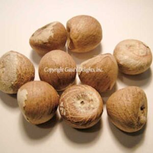 Betel Nut Whole