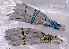 California Poppy (Eschscholzia californica ) Dried Herb