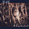 VAS- In the Garden of Souls