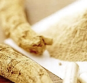 Ginseng 25x Powdered Extract