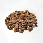 Hawaiian Baby Woodrose Seeds (India)