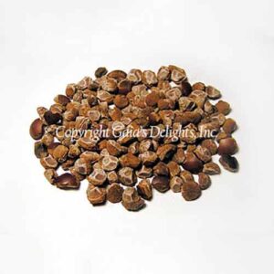 Hawaiian Baby Woodrose Seeds (Ghana)